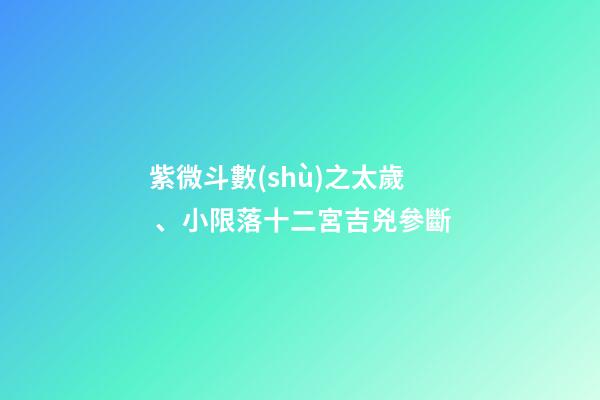 紫微斗數(shù)之太歲、小限落十二宮吉兇參斷